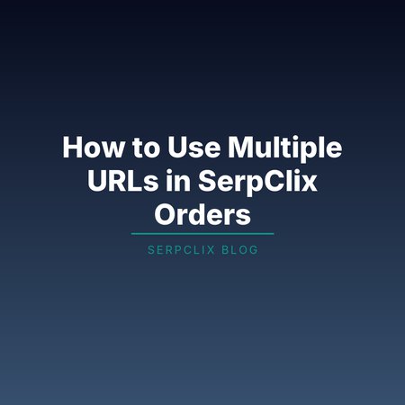How the Second URL Option Works in SerpClix Orders