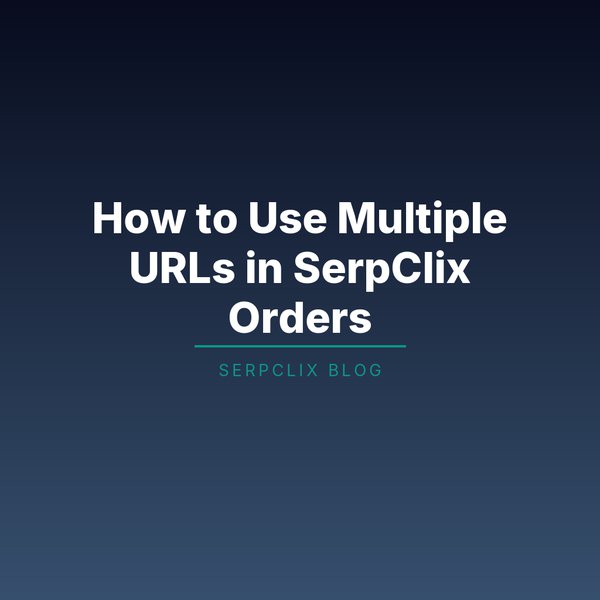 How the Second URL Option Works in SerpClix Orders